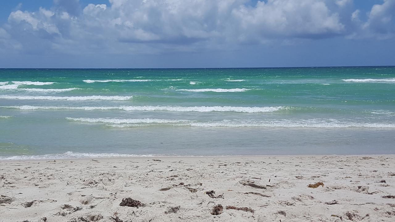 2 Bedroom 2 Bath Beachfront Condo On Miami Beach Millionaire Row Exterior foto